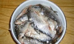 Маринад для рыбы для копчения горячего копчения