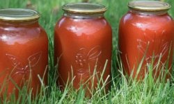 Сок томатный в домашних условиях на зиму