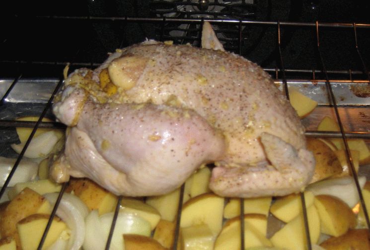 Запеченный бройлер. Курица в духовке. Курочка в духовке. Готовка курицы в духовке. Курица запеченная в духовке.