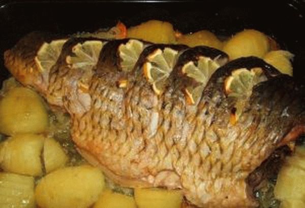 Рыба с картошкой, запеченная в духовке — лучшие рецепты